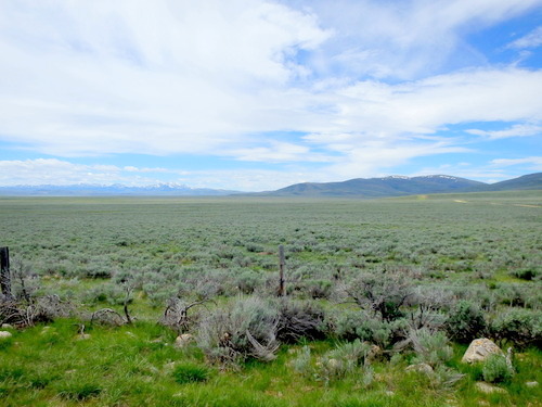 GDMBR: Typical Montana high plain.